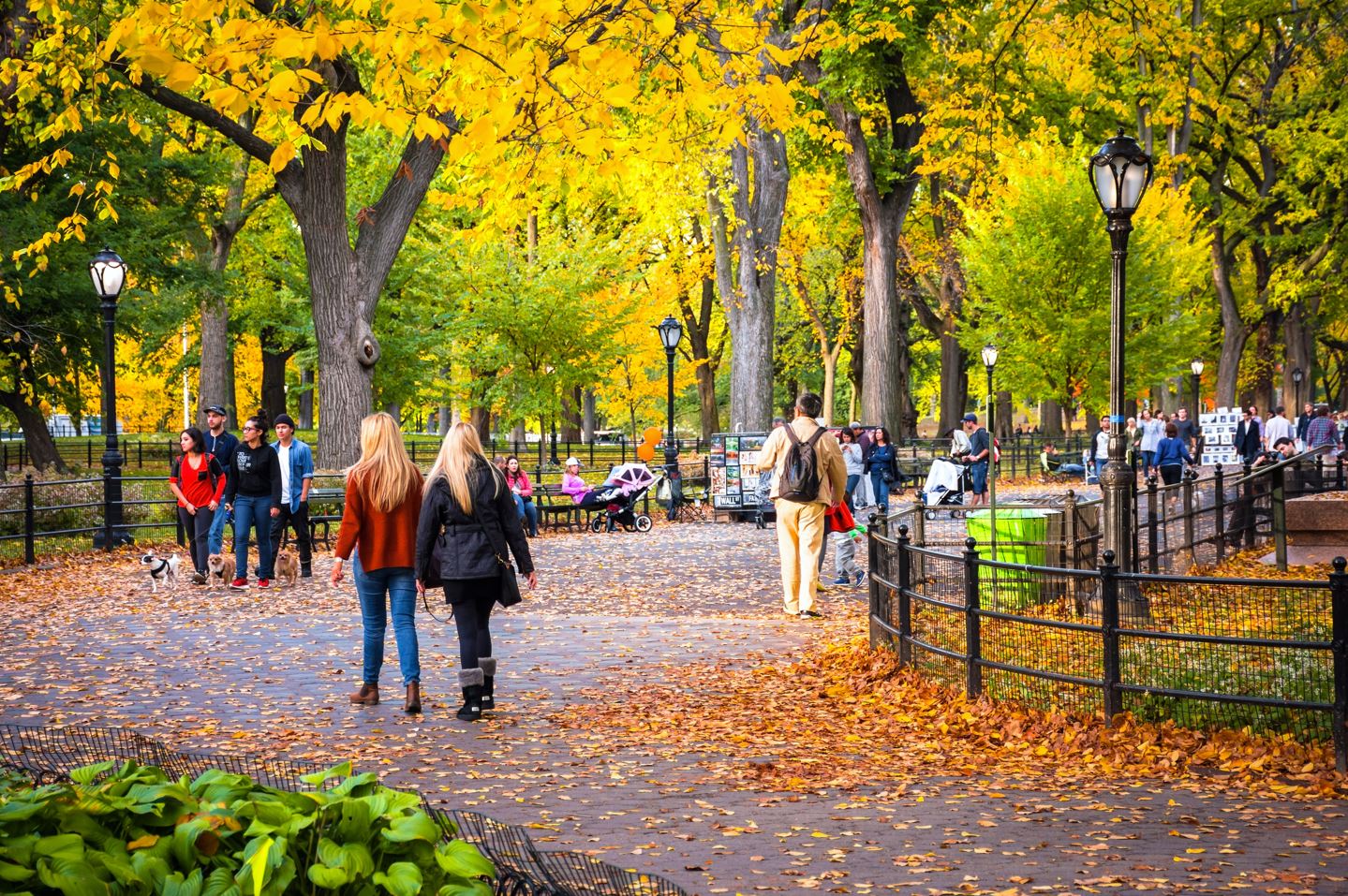 A Realistic Guide On What To In New York This Fall - Cailey Maclean
